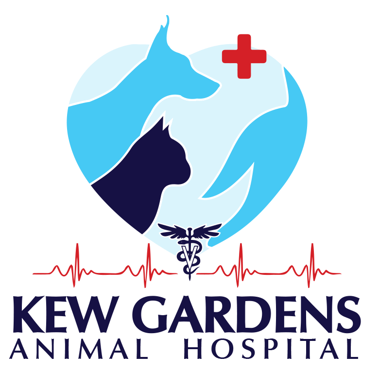 Kew Gardens Animal Hospital|Veterinarian in Queens, New York