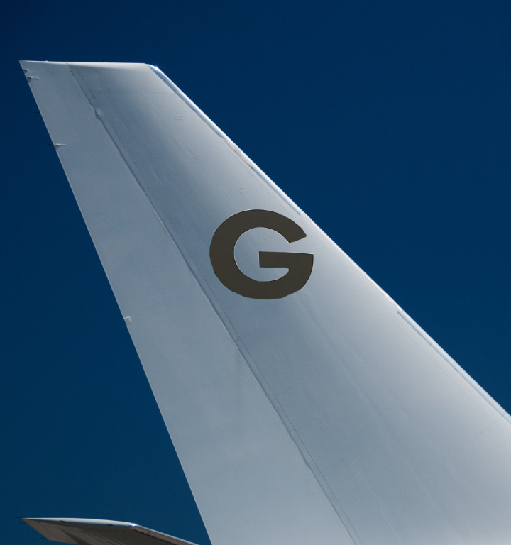 The tail of an airplane has the letter g on it