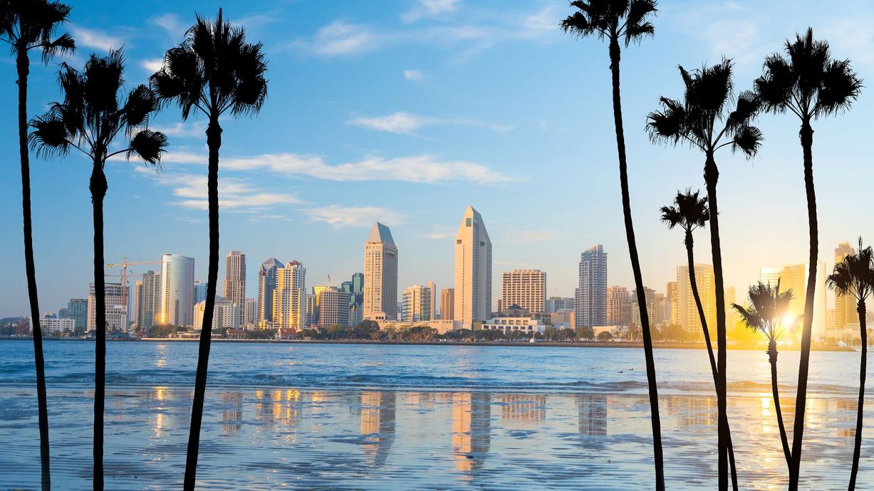 A city skyline is reflected in the water with palm trees in the foreground.