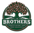 BROTHERS Landscaping and Tree Services logo with green tree and red outline