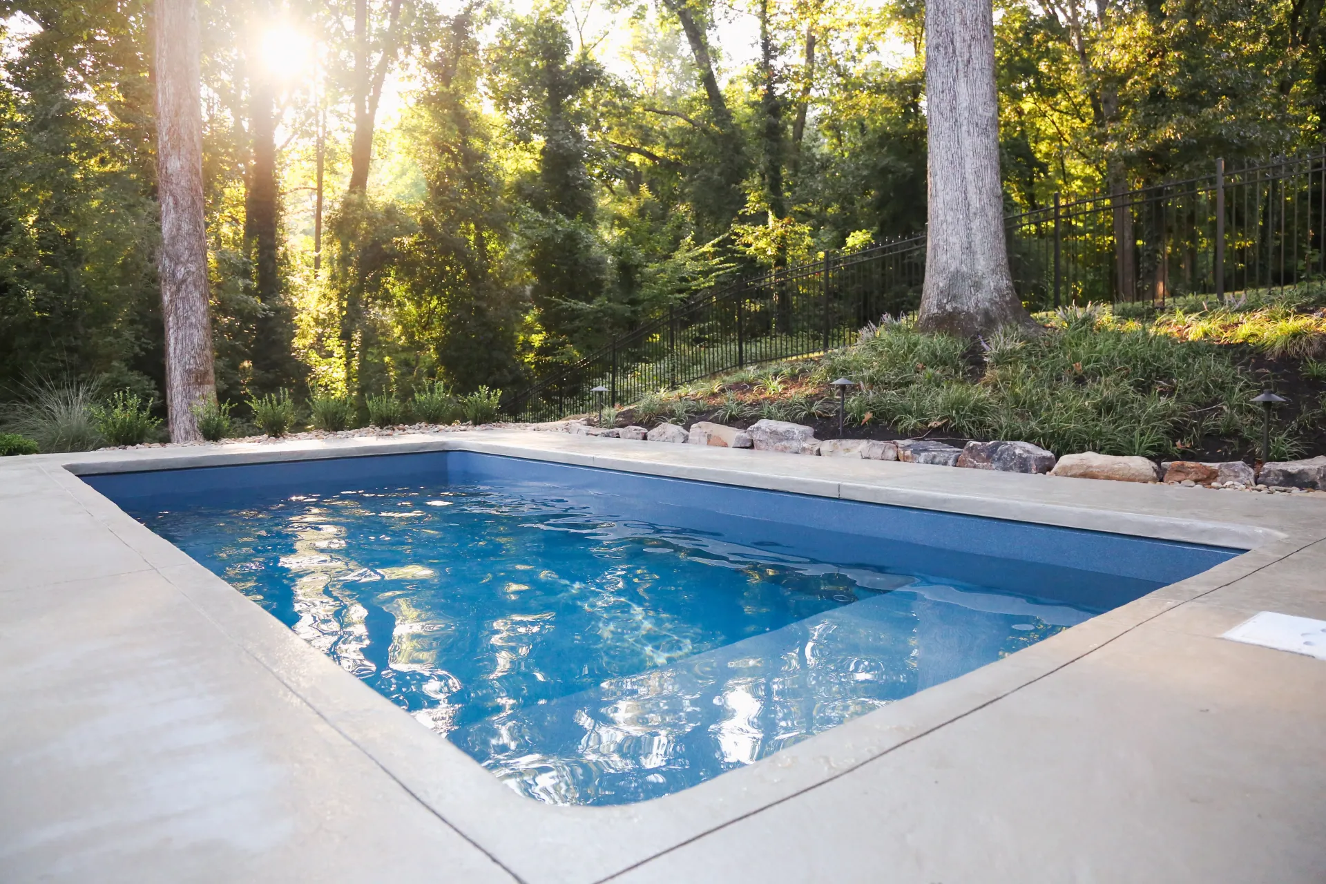 A large swimming pool is surrounded by trees in a backyard.
