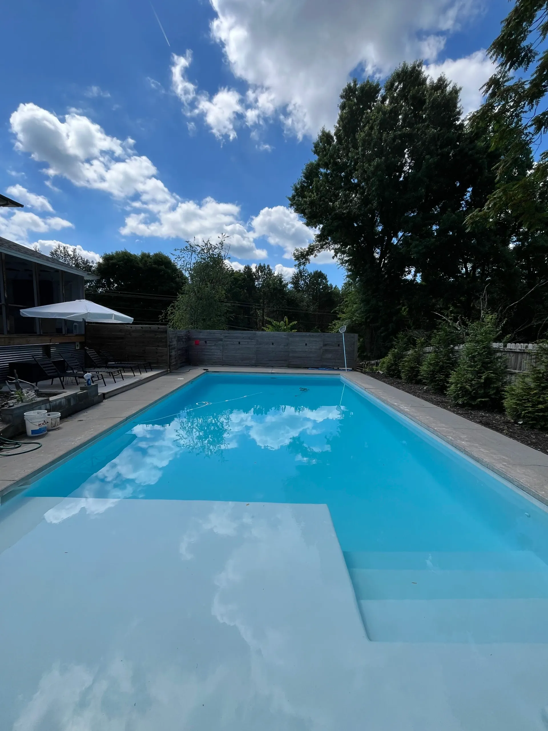 A large swimming pool surrounded by trees and bushes on a sunny day.
