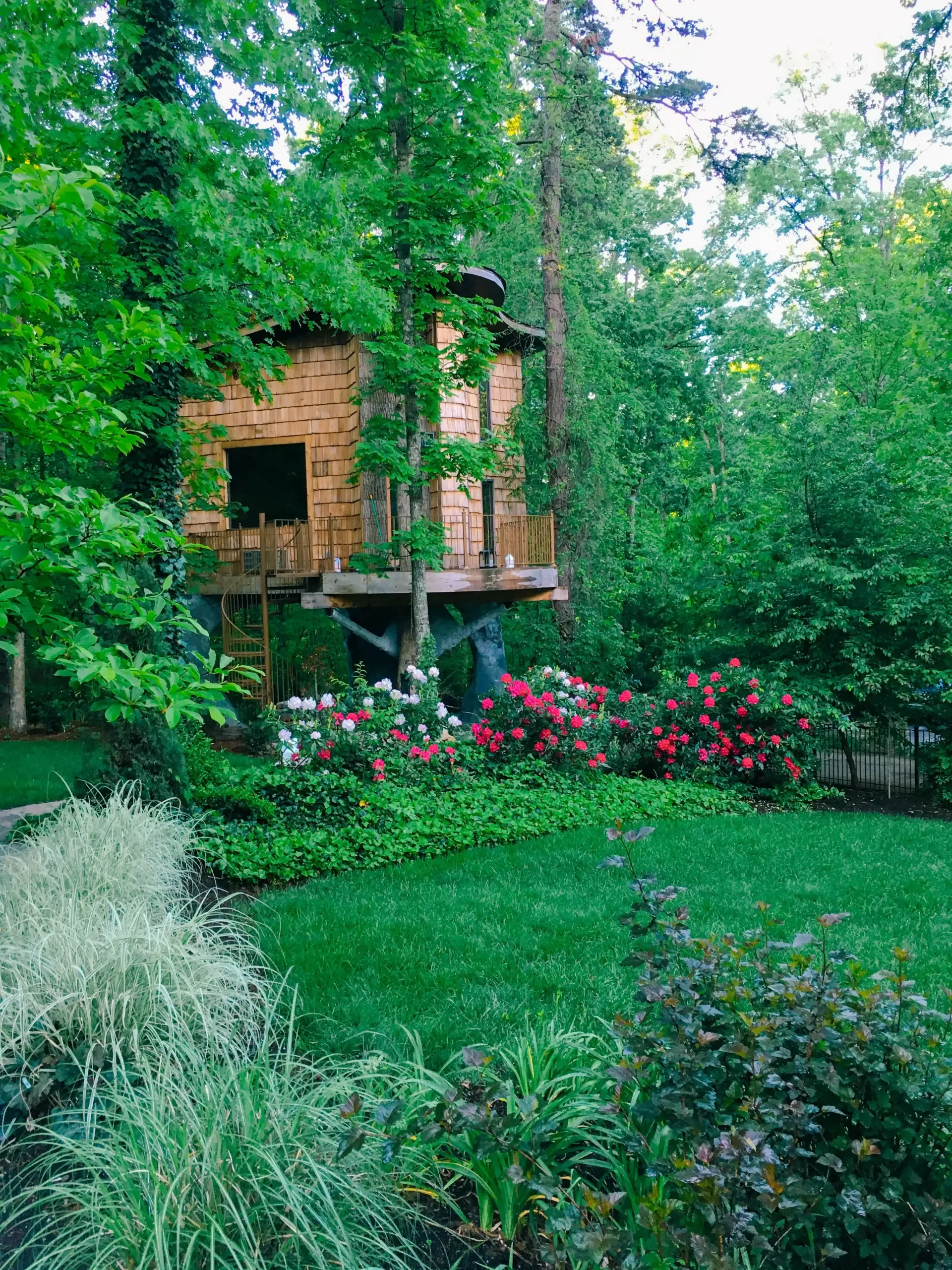 A tree house is sitting in the middle of a lush green forest.