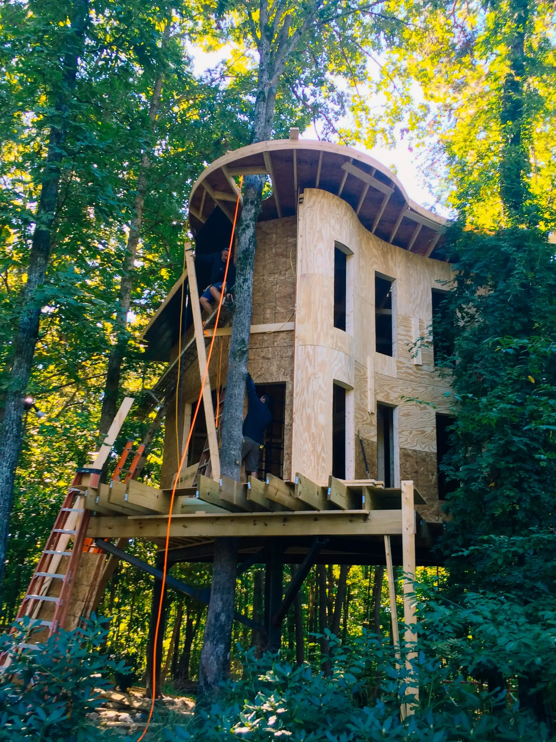 A tree house is being built in the middle of a forest