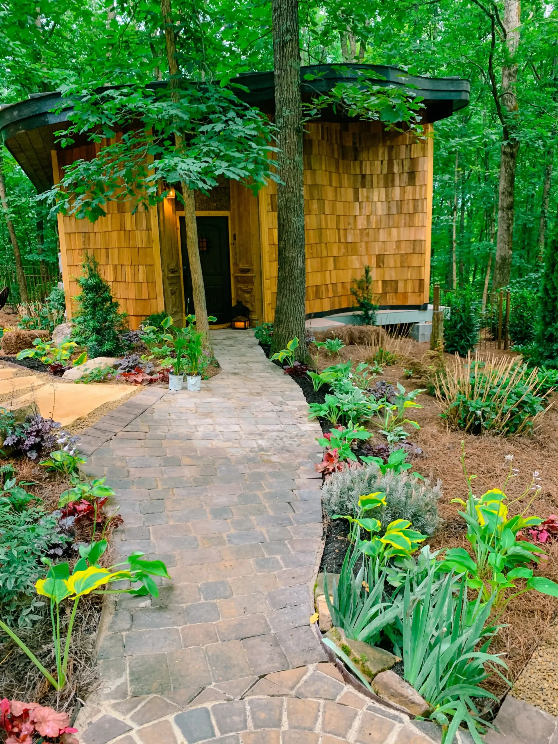 A path leading to a small wooden house in the middle of a forest.