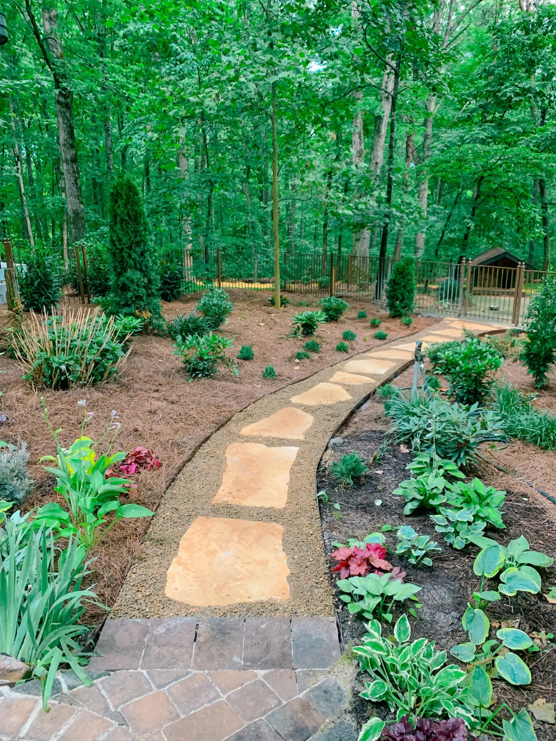 A stone walkway in the middle of a lush green forest.