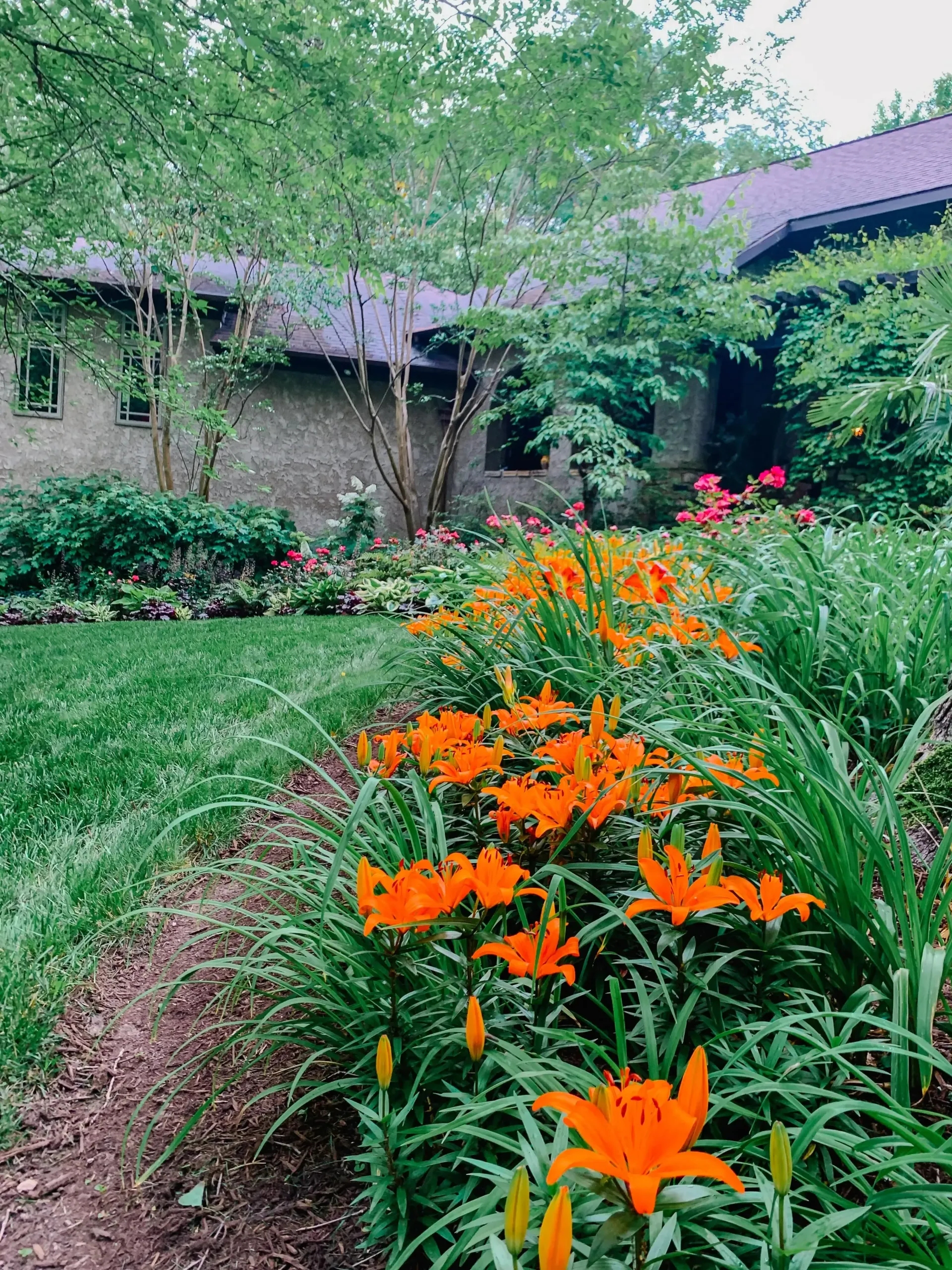 A row of orange flowers in a garden in front of a house.