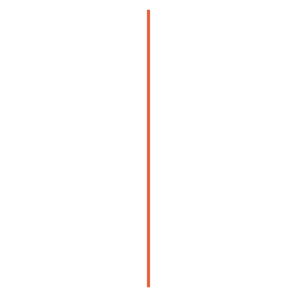 A long orange line on a white background.