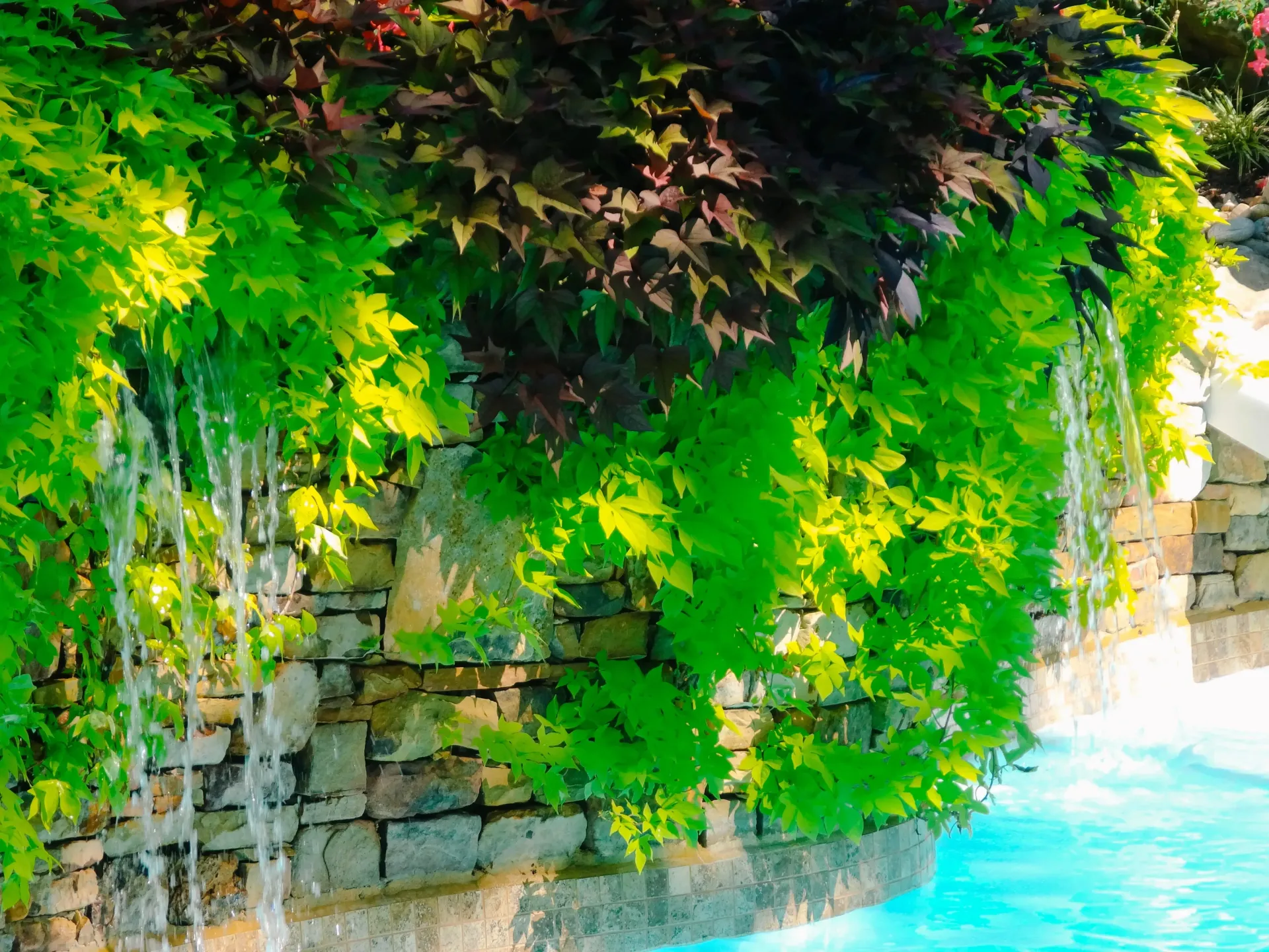 There is a waterfall in the middle of a swimming pool surrounded by trees.
