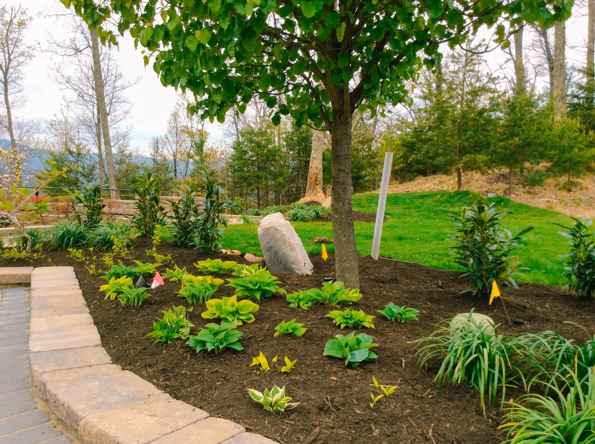 There is a large rock in the middle of the garden.