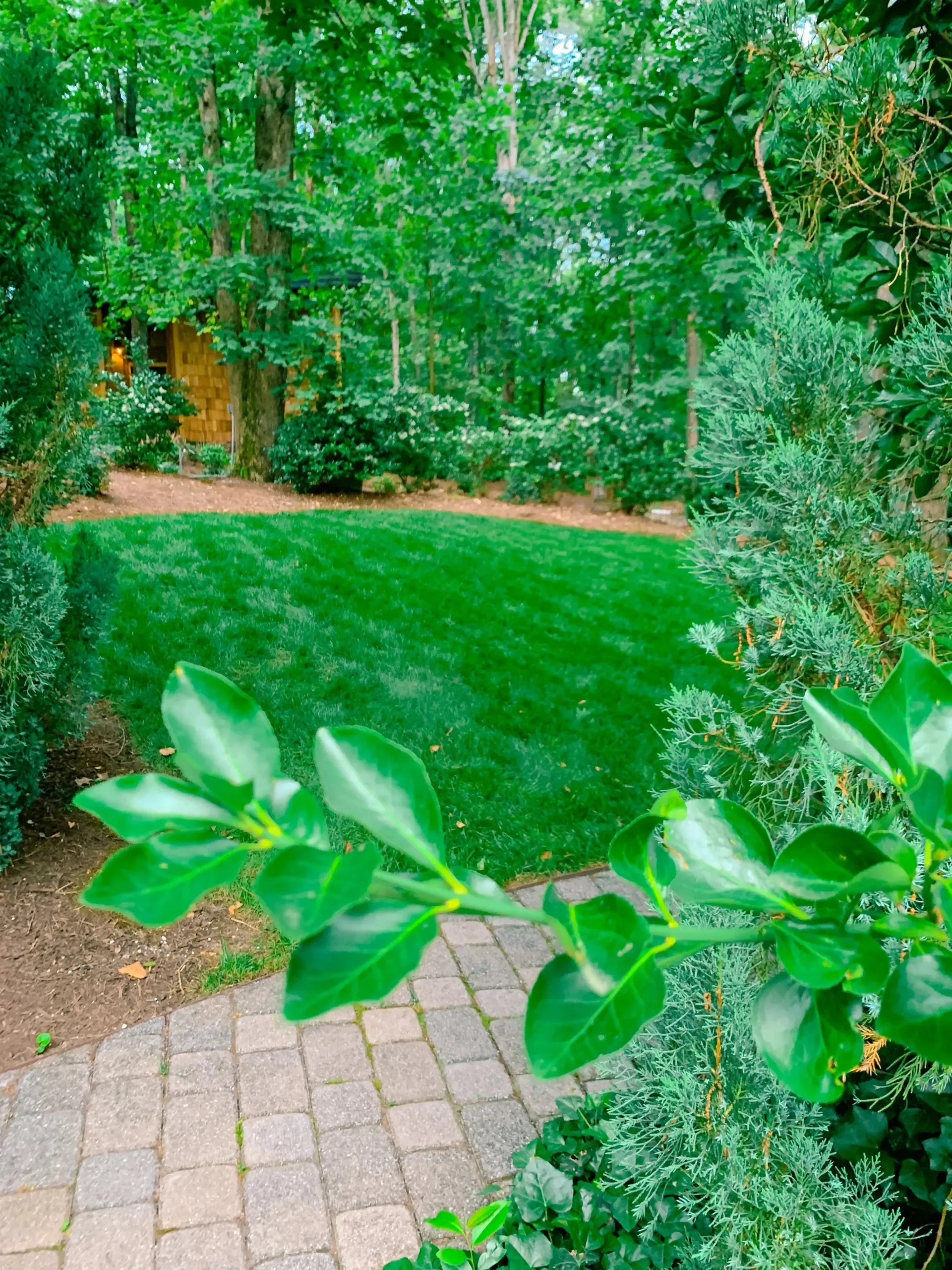 A brick walkway leads to a lush green lawn surrounded by trees.