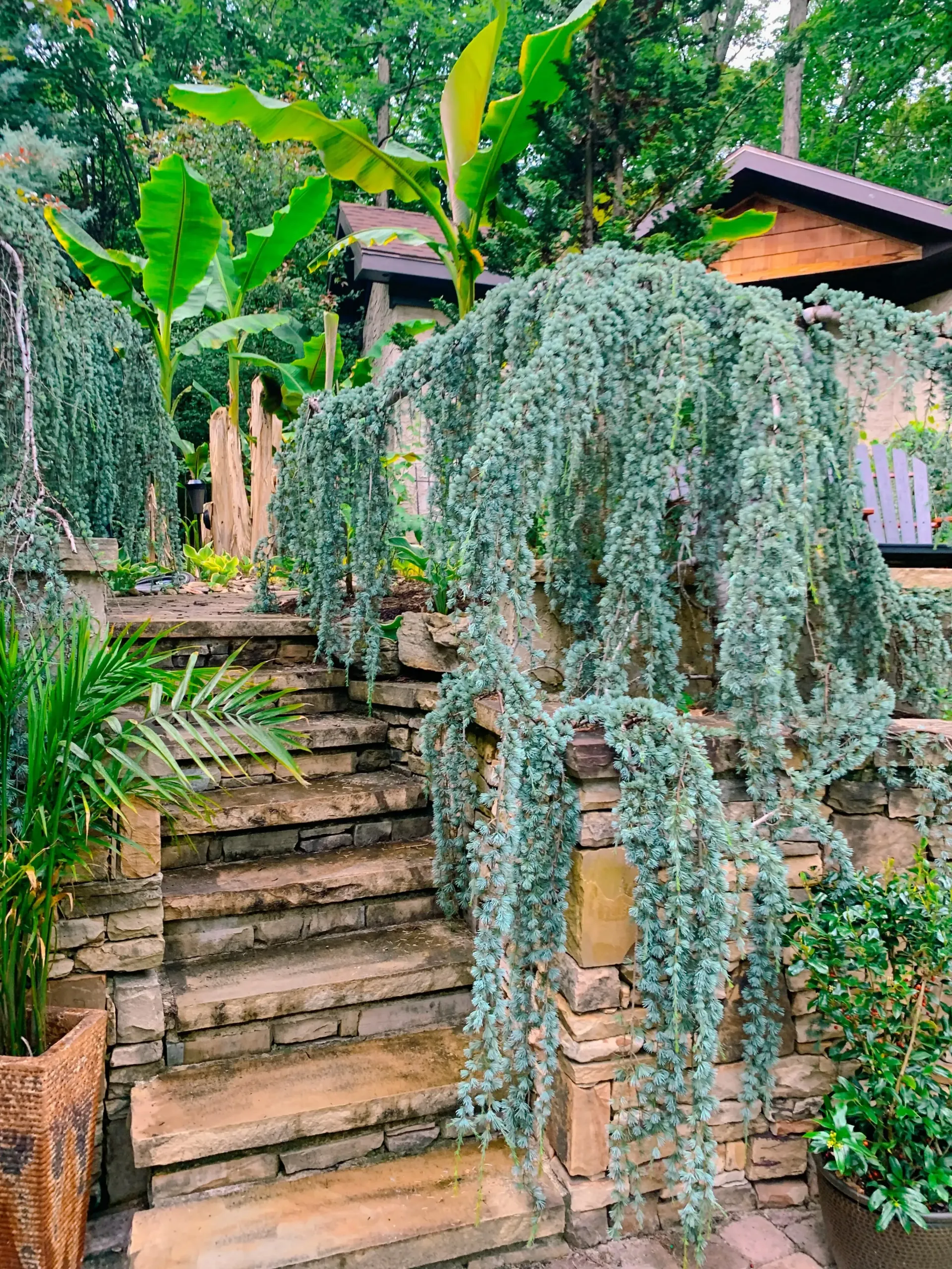 A stone wall with stairs leading up to a house surrounded by plants and trees.