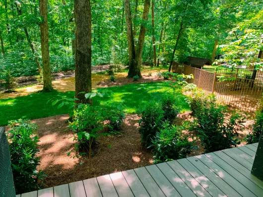 A deck overlooking a lush green lawn in the middle of a forest.