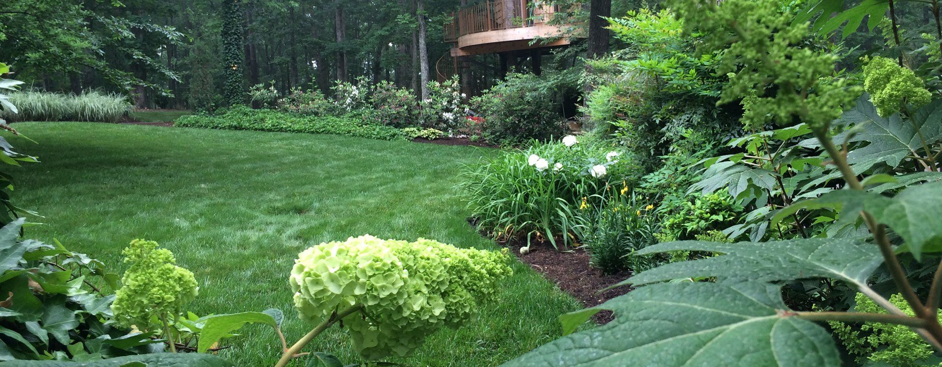 A lush green garden with a house in the background on a rainy day.