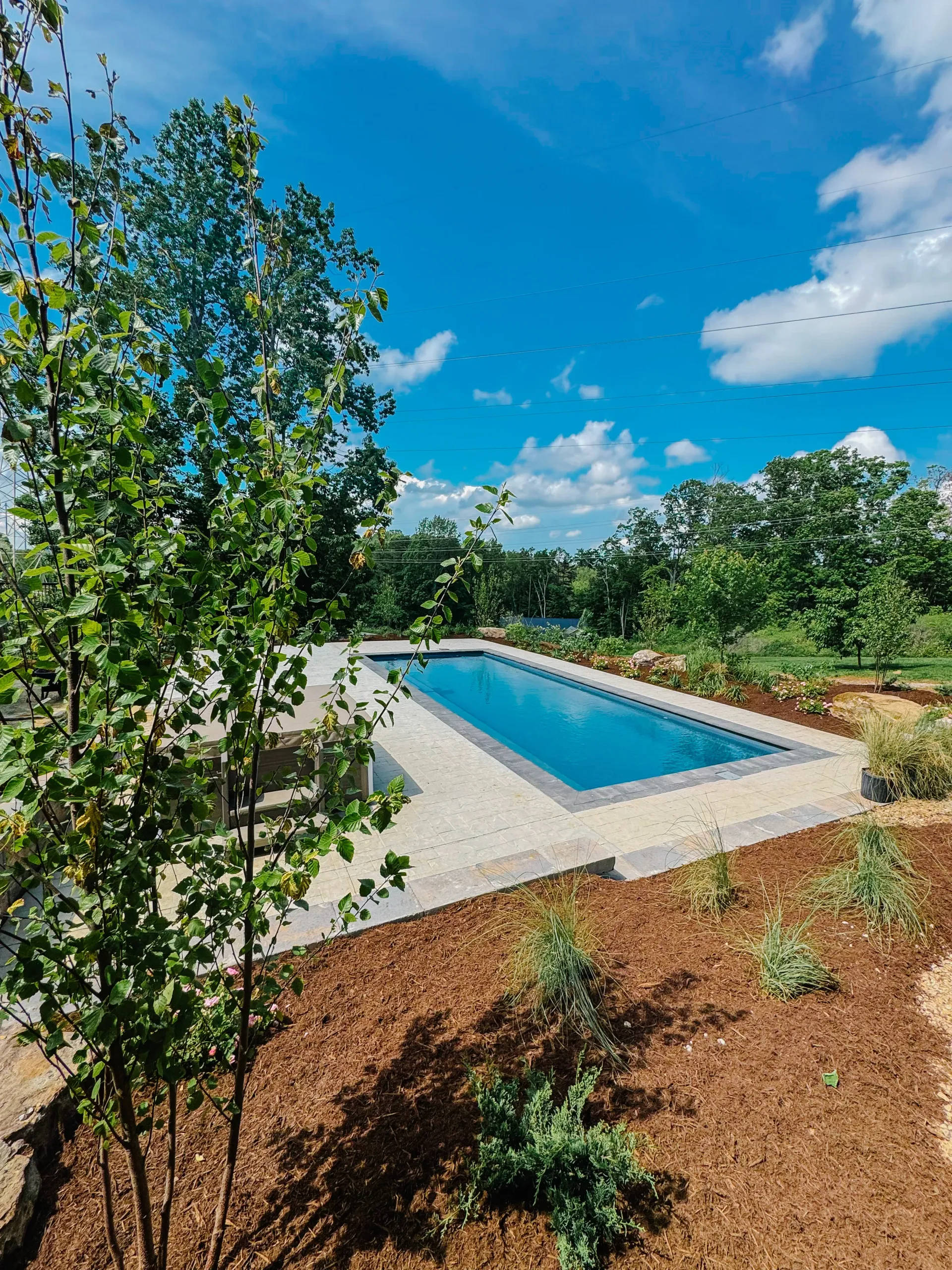 Long rectangular pool surrounded by natural landscaping and trees