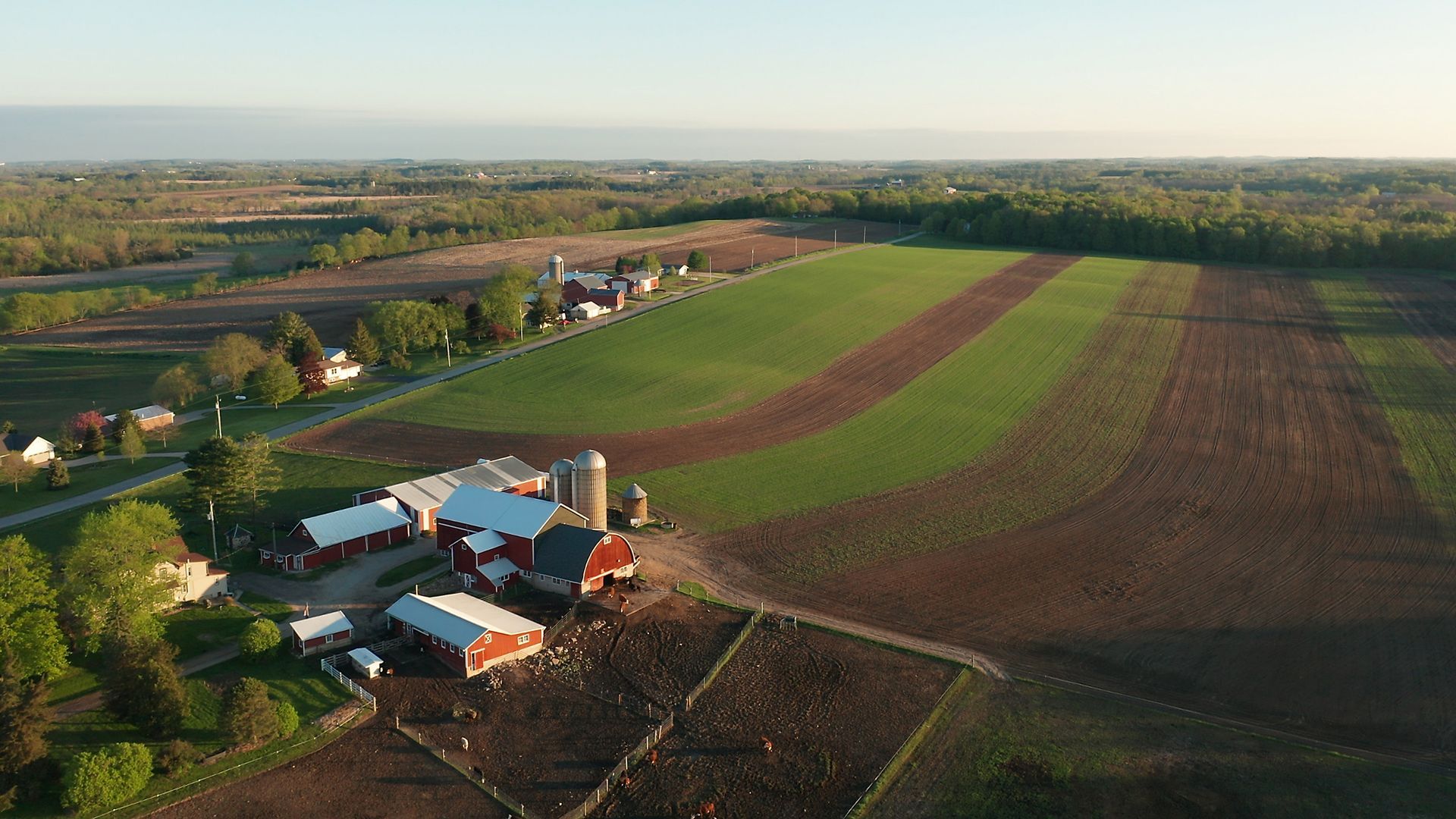Aerial view of a farmstead with red buildings, silos, and fields with alternating strips of green crops and dark soil.