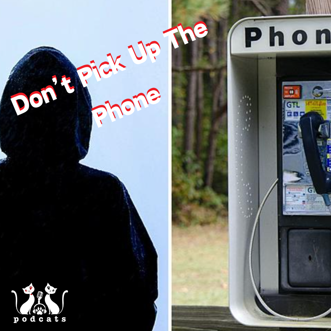 A person in a hoodie next to a payphone that says