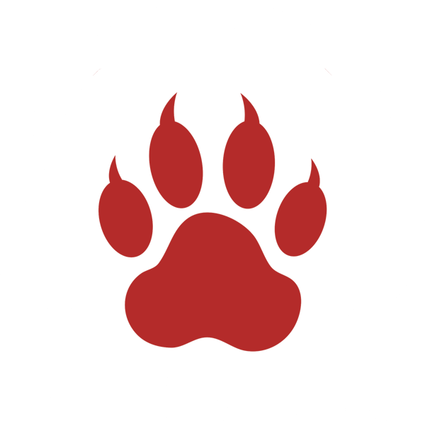 Pod Cats Podcast  True Crime Stories