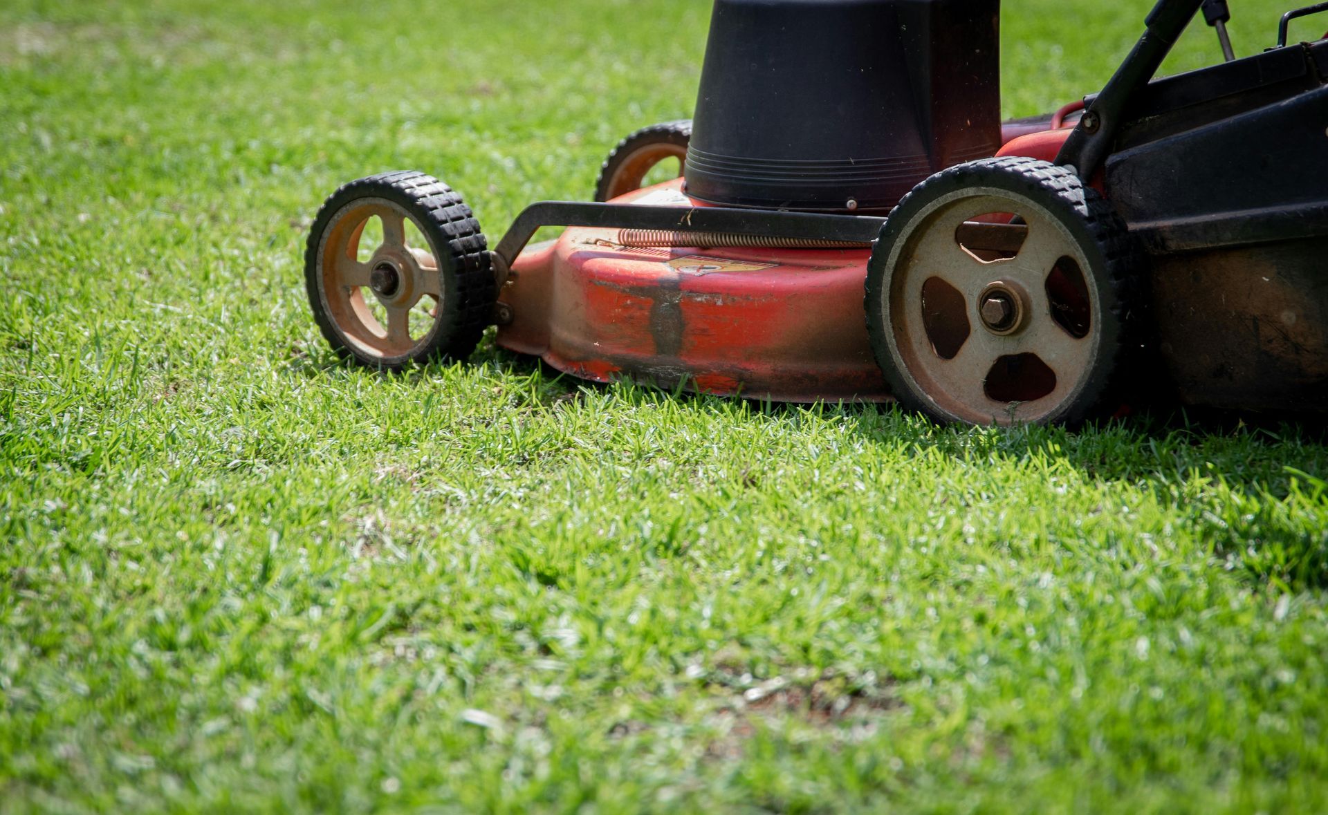 A red lawn mower is cutting a lush green lawn.