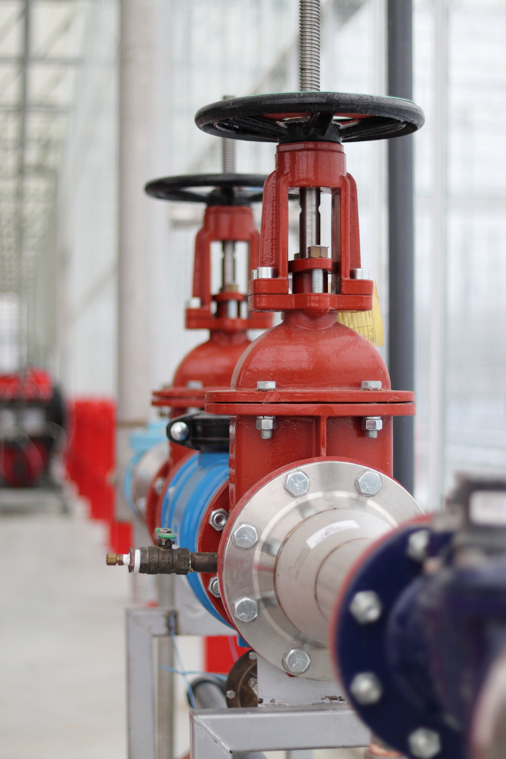 Two red industrial gate valves installed on a metal pipeline inside a greenhouse.