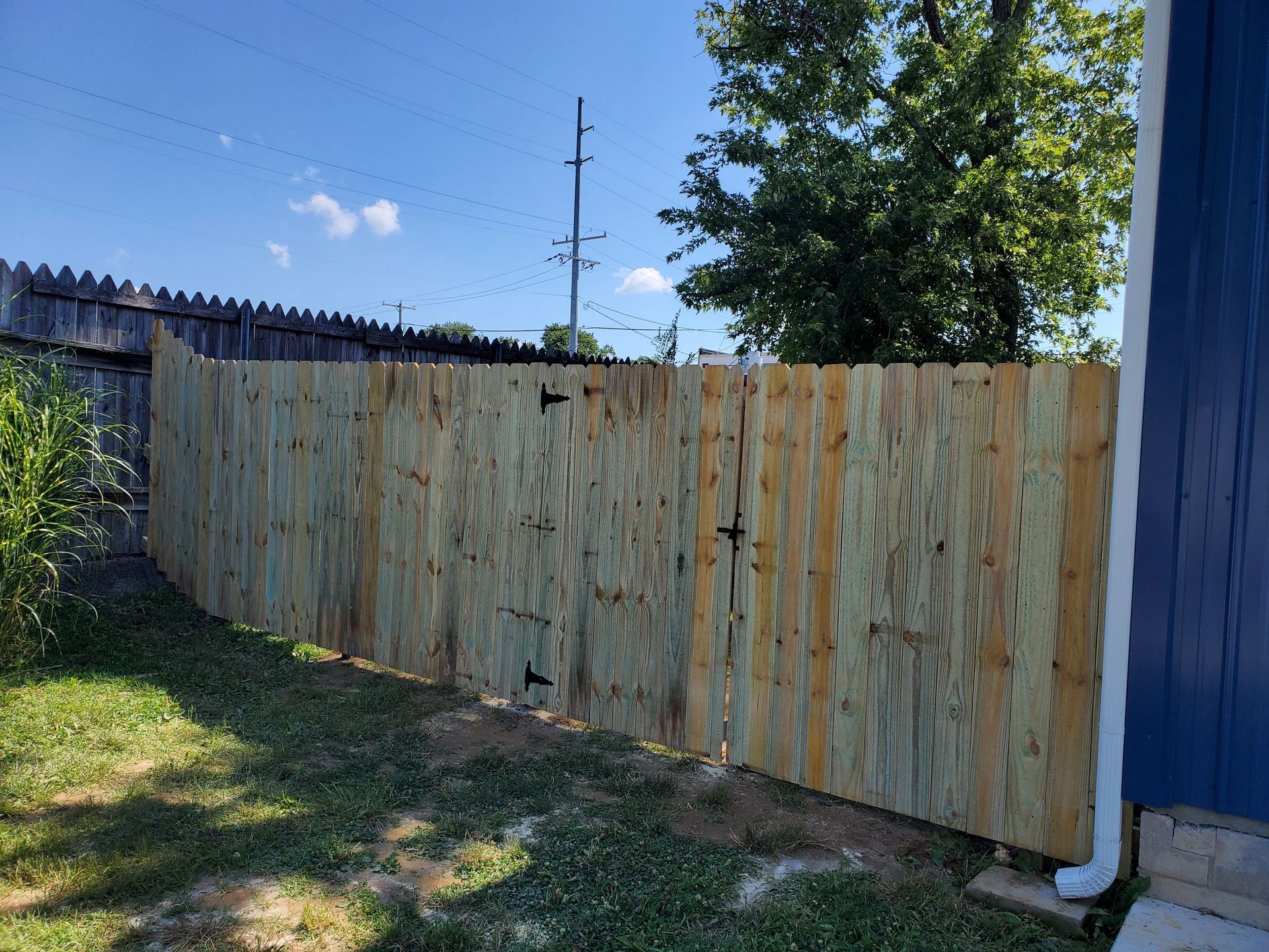 Wooden fence in a backyard, beside a blue house with a downspout, under a blue sky.