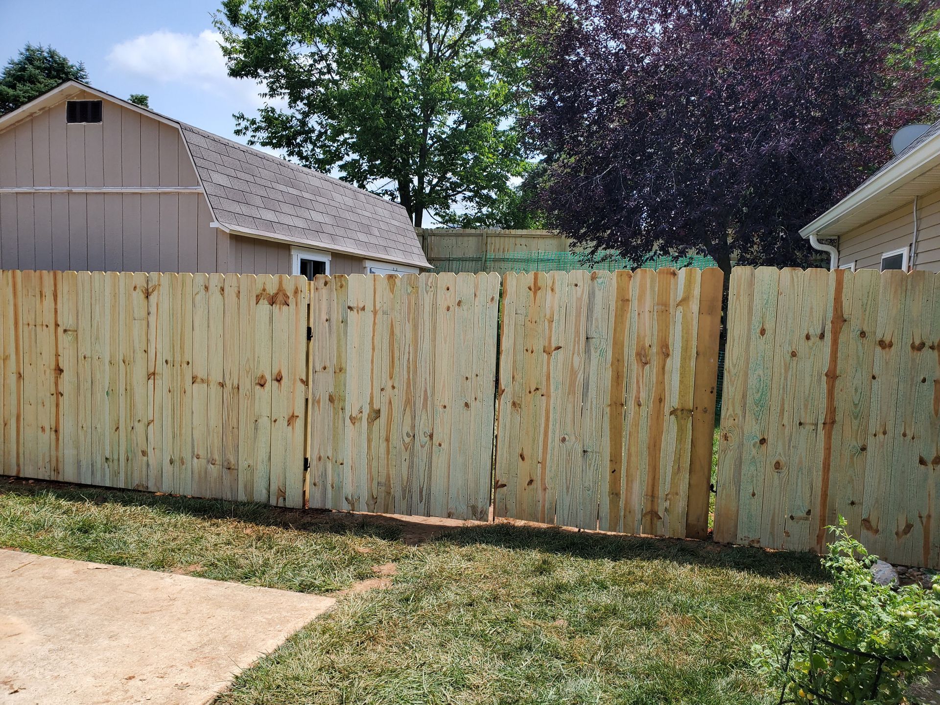 Wooden fence in a backyard, with a house visible in the background on a sunny day.