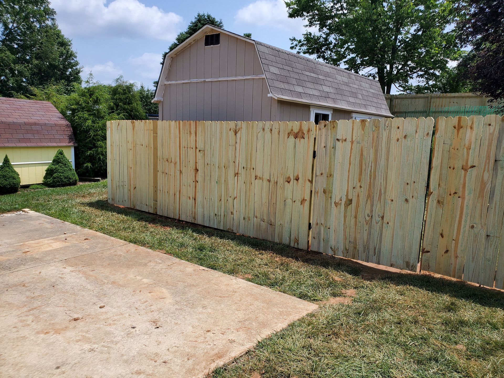 Wooden fence in a yard, with a shed and trees in the background, next to a concrete patio.