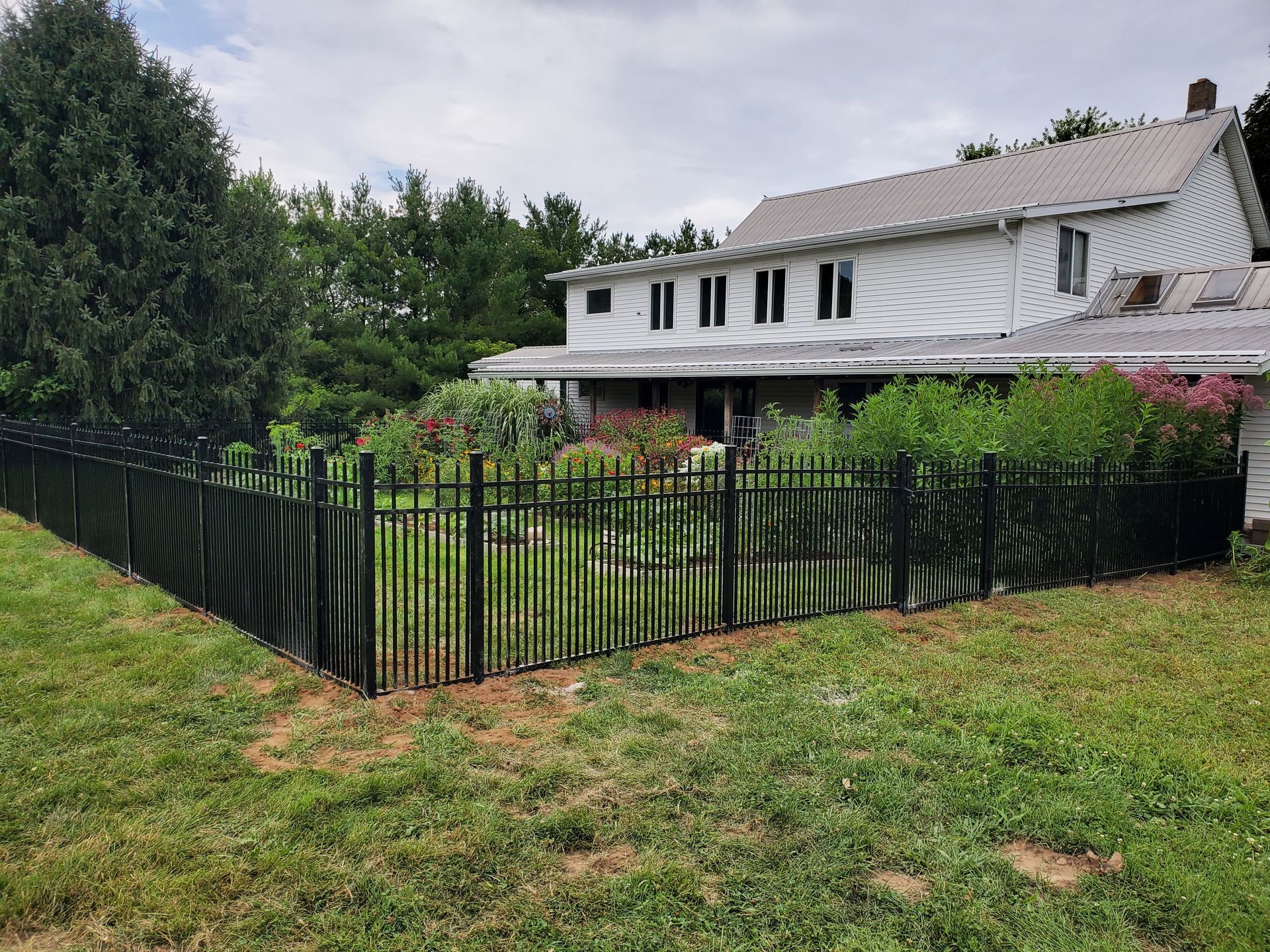 Black fence encloses a garden with a two-story house in the background. Green grass and foliage surround the scene.