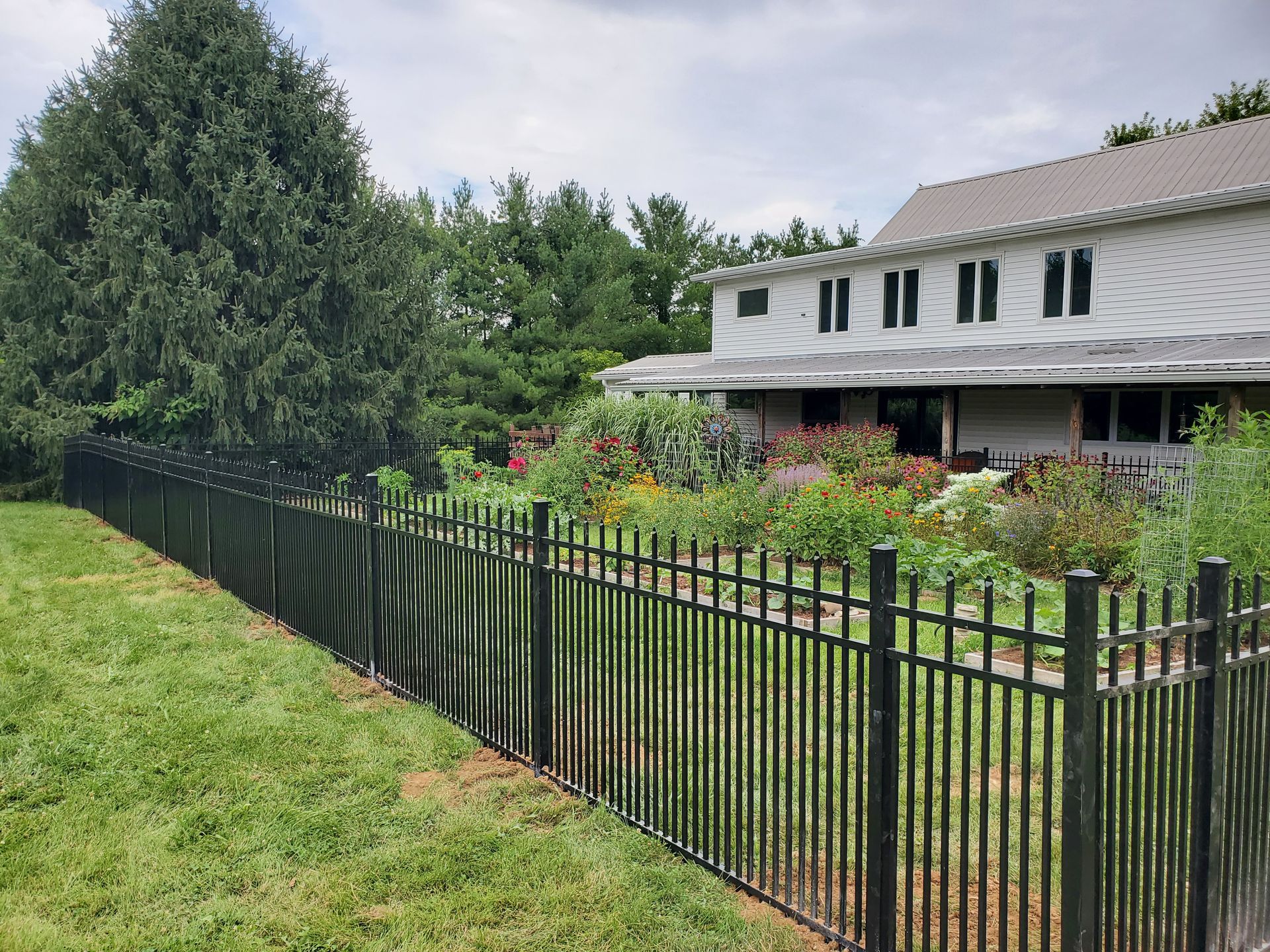 Black metal fence bordering a lush garden next to a two-story white house with trees in the background.
