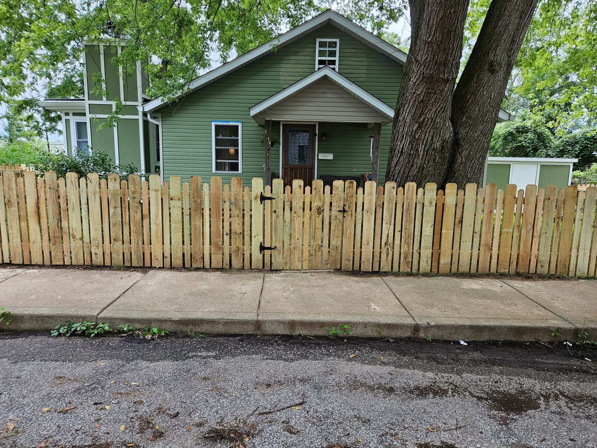 Green house behind a new wooden picket fence. A large tree shades the front.