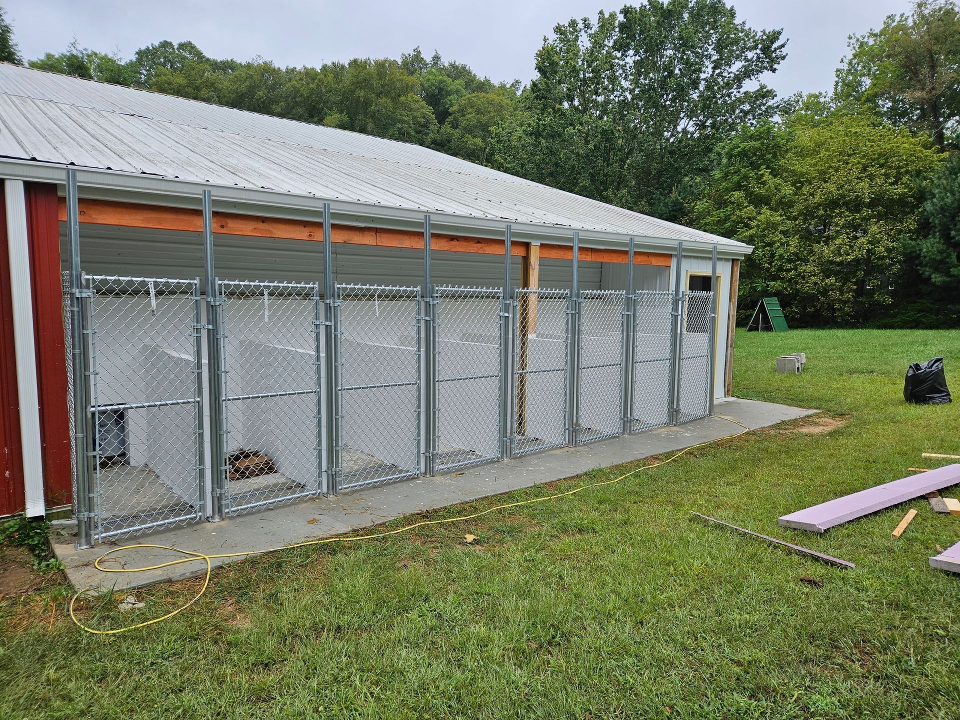 Outdoor dog kennels attached to a red barn with metal roofing and chain-link doors on a concrete pad.