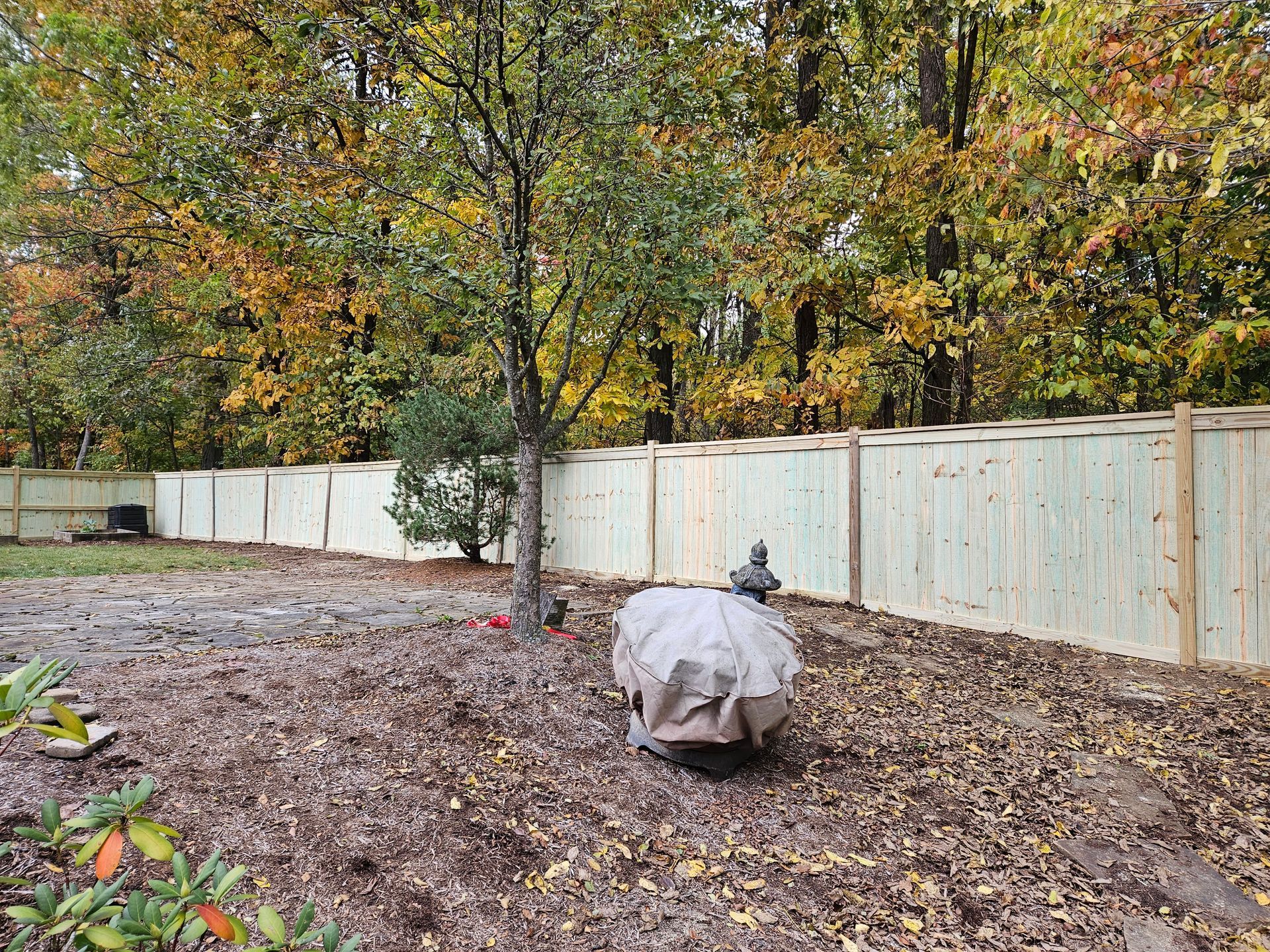 Backyard with new wooden fence and fallen leaves; tree in the center, foliage in background, covered object in foreground.
