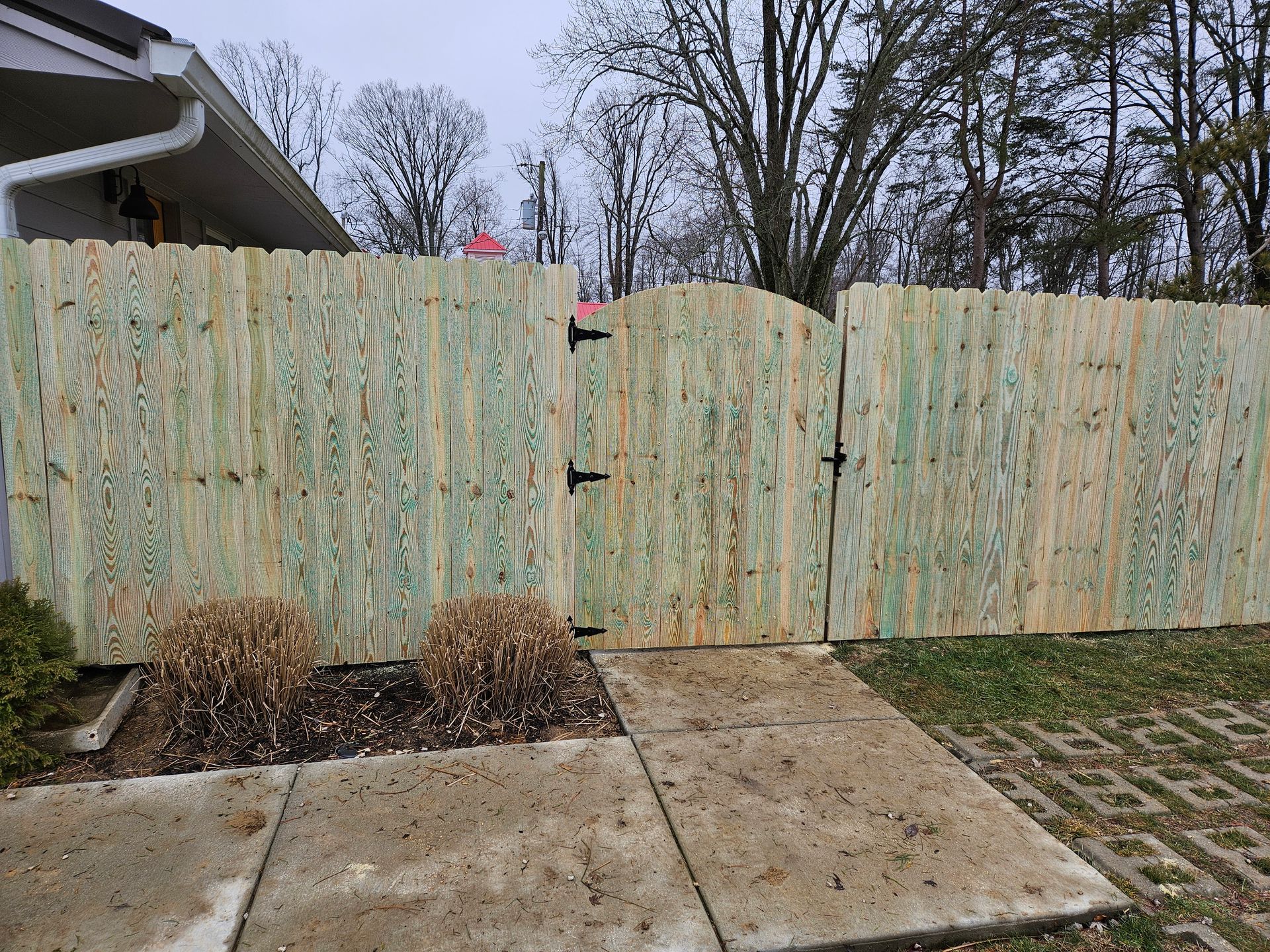 Wooden fence with gate, walkway, and dead shrubs in front of a house.