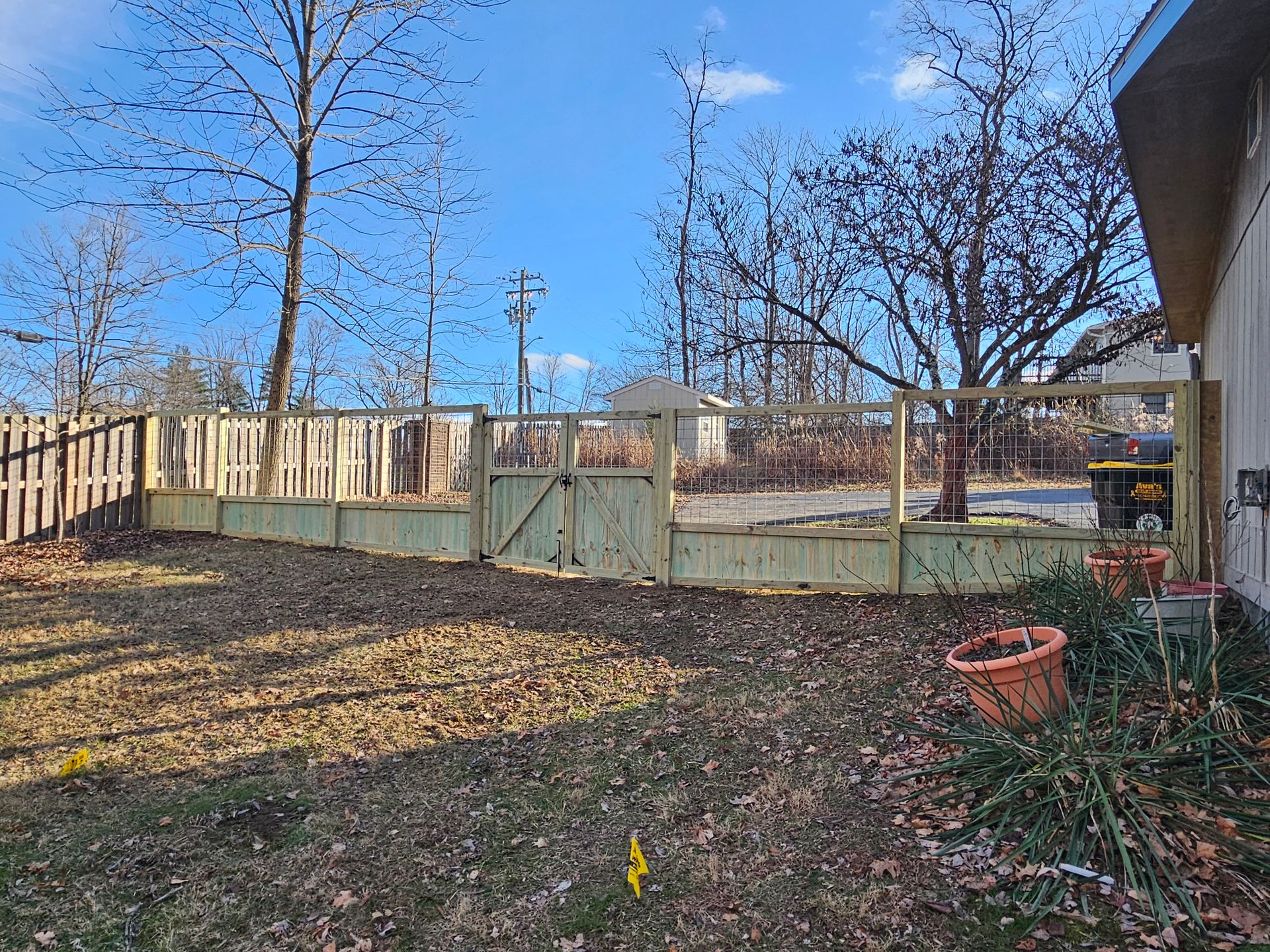 Backyard with wooden fence, gate, and bare trees under a bright blue sky.