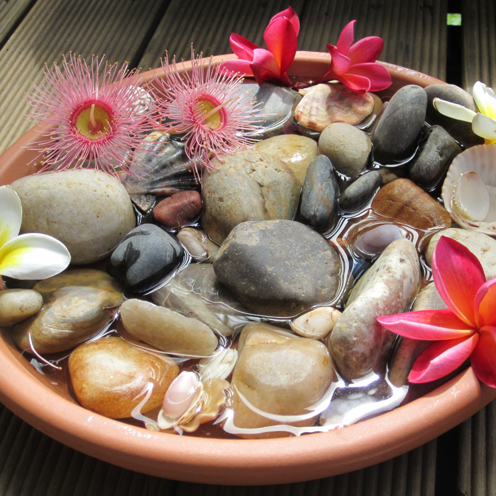 drykkjustöð fyrir hunangsflugur