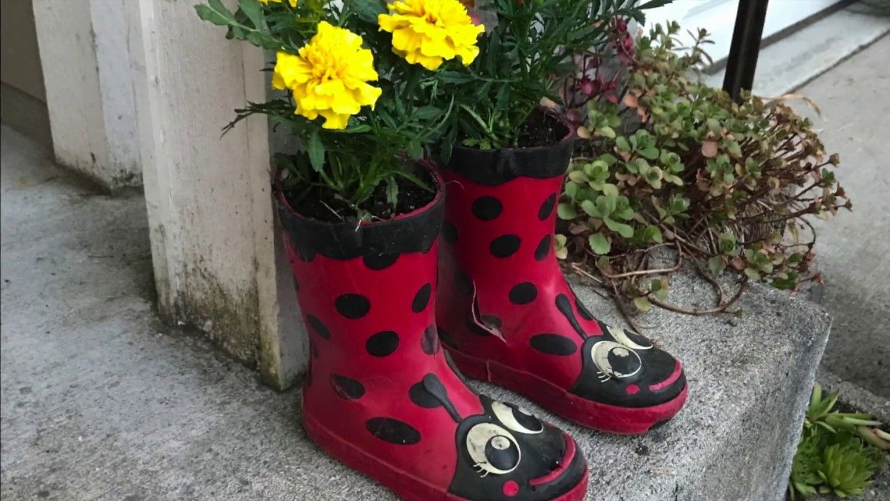 Stígvél sem blómapottur