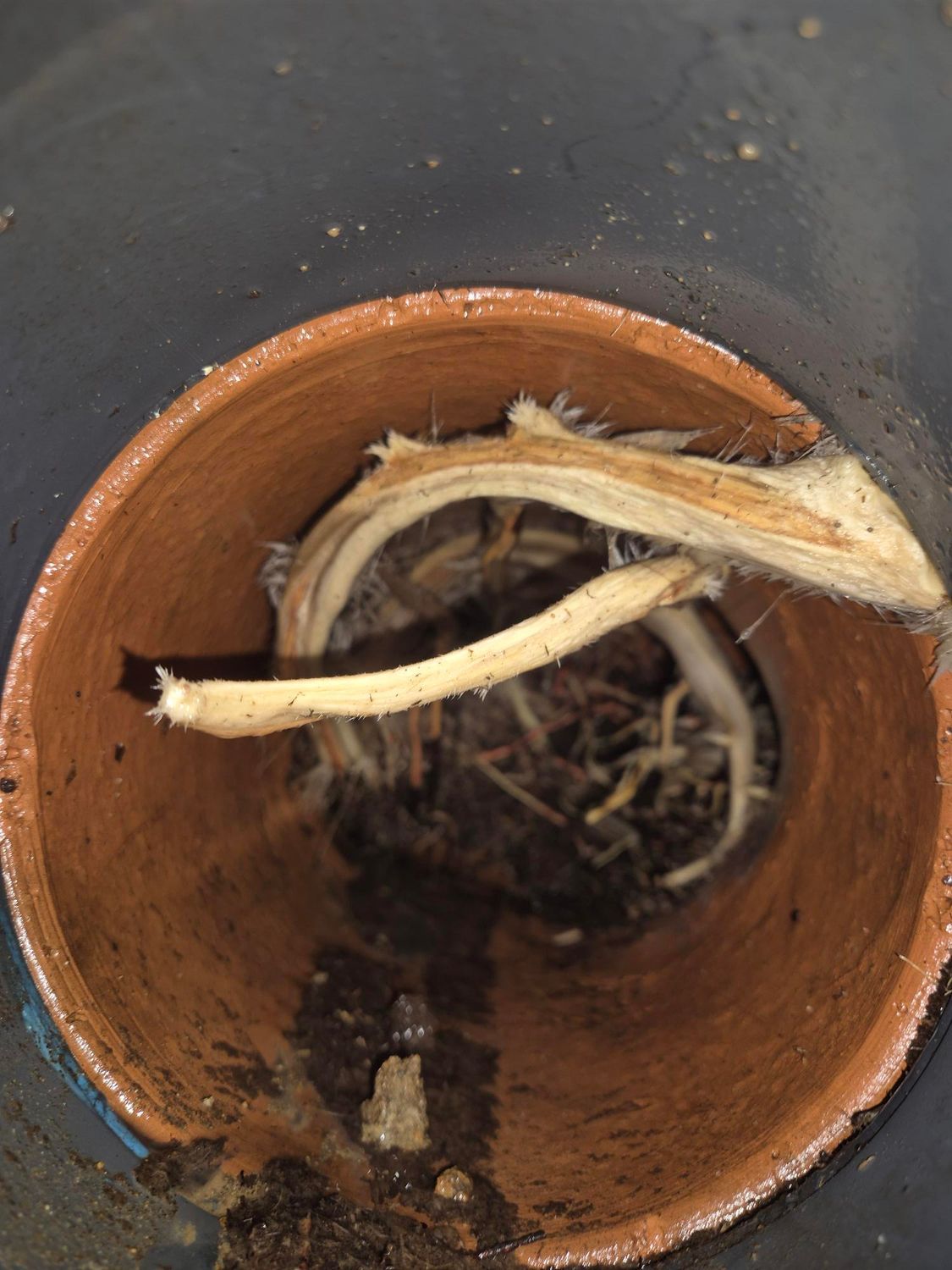 A Person Is Cleaning A Sink With A Hose — Bennett Plumbing In Broughton Village, NSW