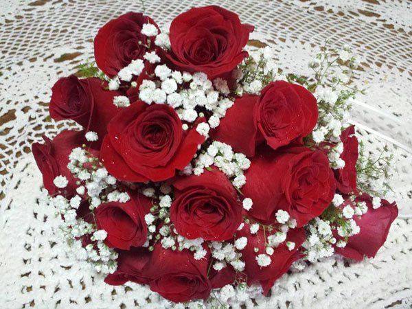 flores y plantas cecilia