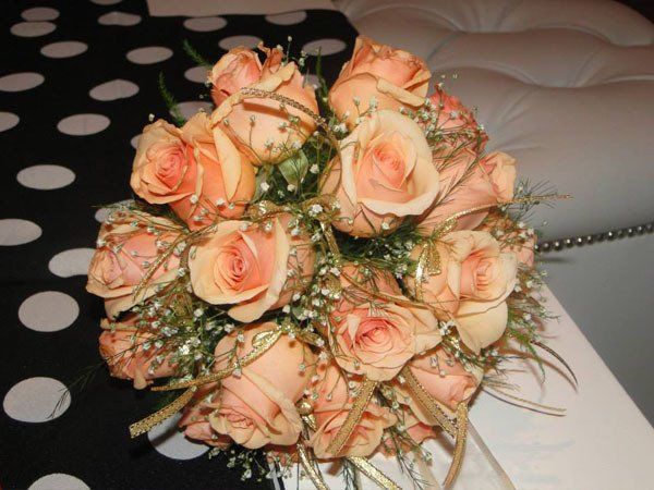 flores y plantas cecilia