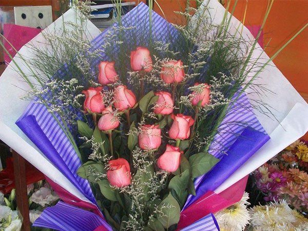 flores y plantas cecilia