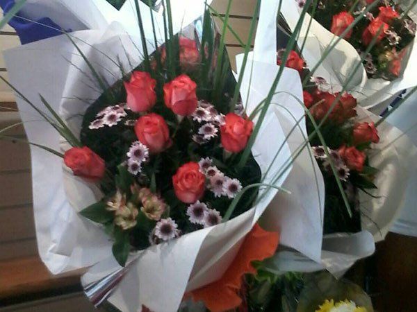 flores y plantas cecilia