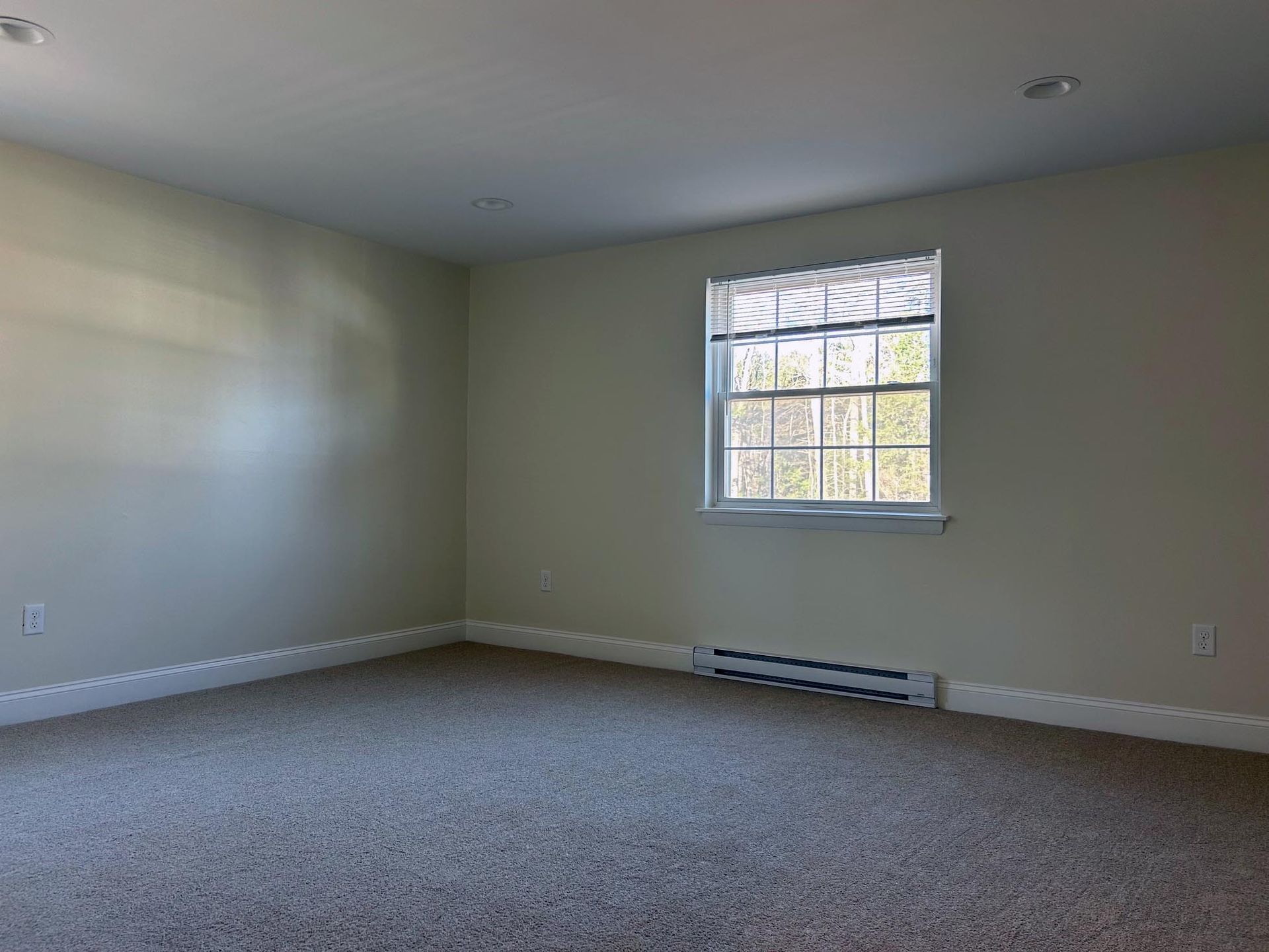 An empty bedroom with a window and a carpeted floor.