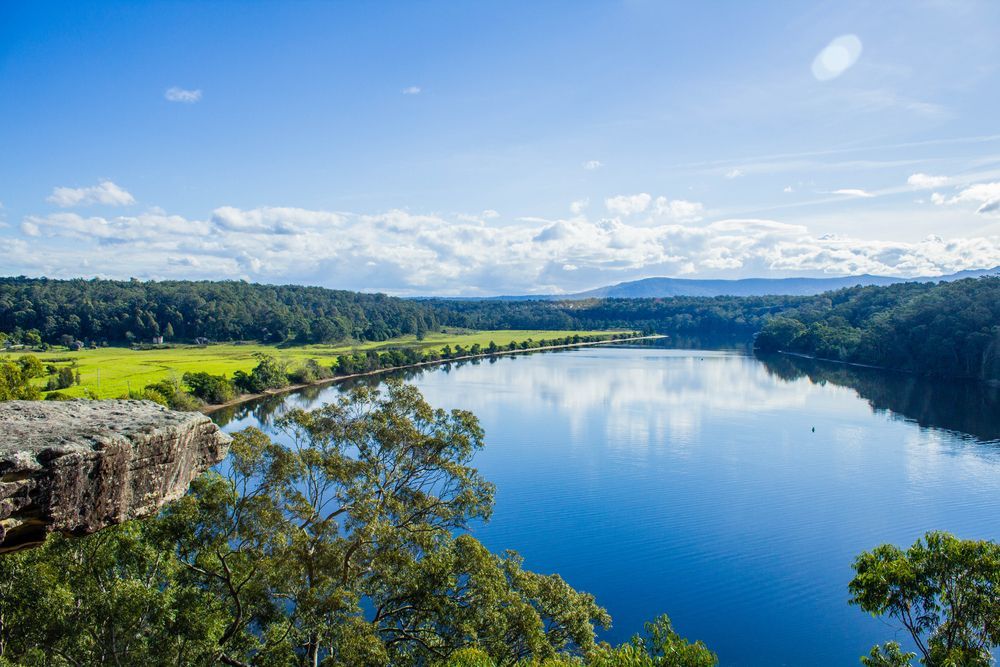 A Large Body Of Water Surrounded By Trees On A Sunny Day — All Lift Cranes In Nowra, NSW