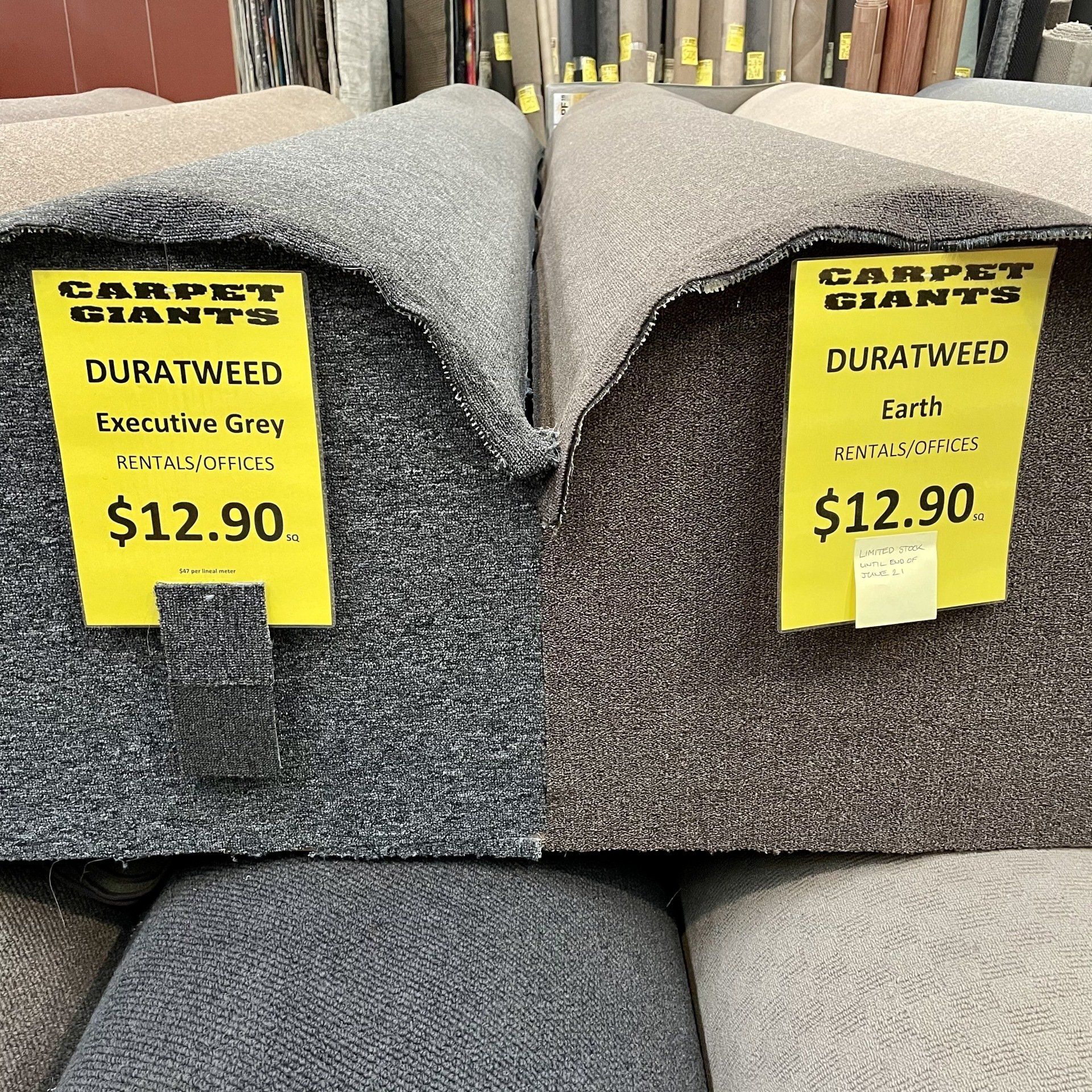 Carpet Giants Carpet Stores Adelaide Best Price on Carpet Adelaide