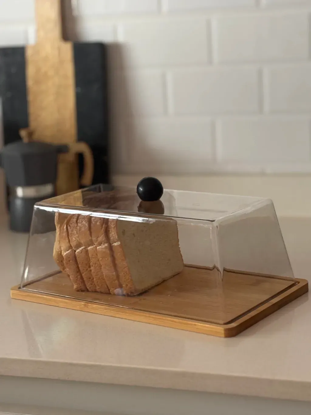 CONTENEDOR PARA PAN LACTAL