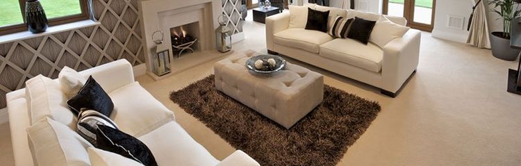 image-433219-347457-carpet-furniture_cleaning1.jpg?1457100953409