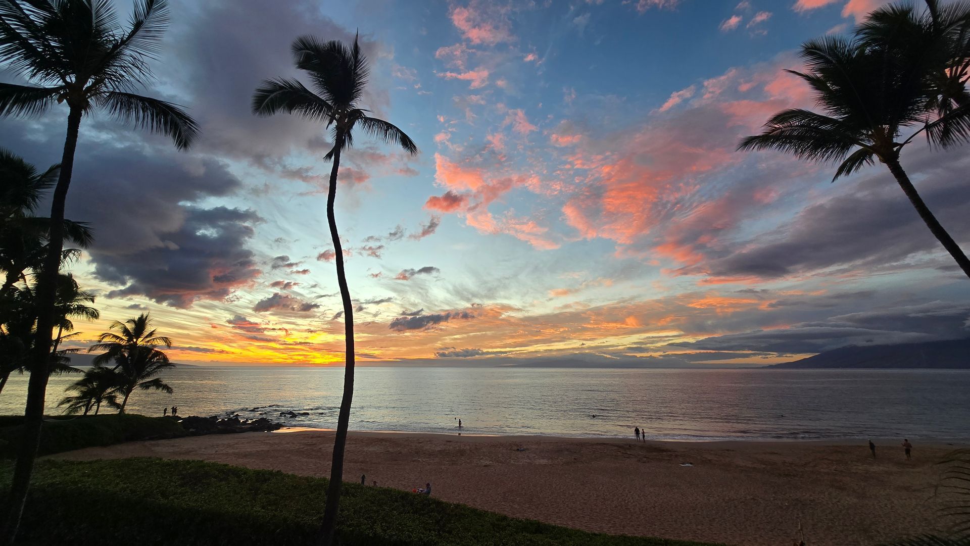 Sunset over ocean with palm trees silhouetted, pink and orange clouds, beach with people.