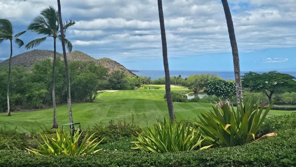 Golf at Polo Beach