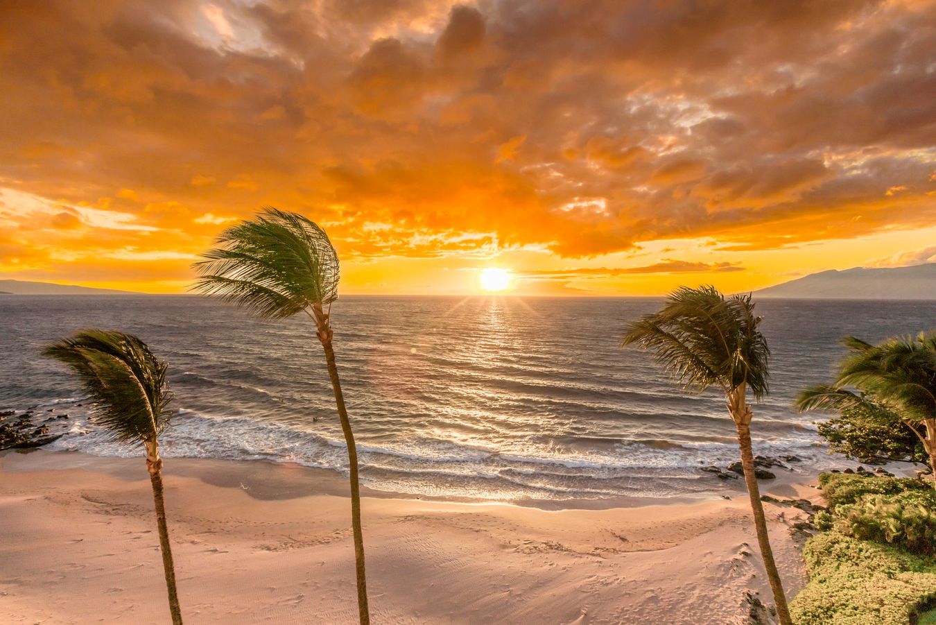 Beach and Ocean Views