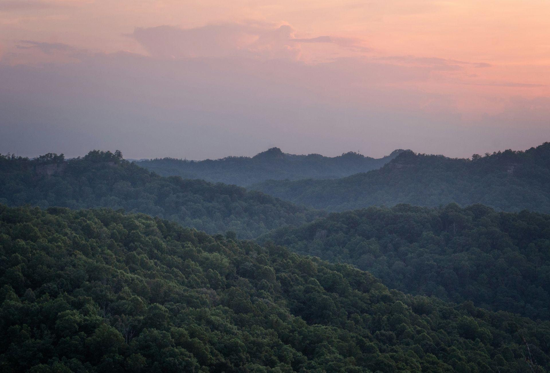 Hilly, tree-covered landscape at dusk with a dusky pink and purple sky.